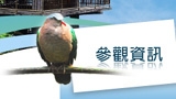 鳳凰谷鳥園生態園區